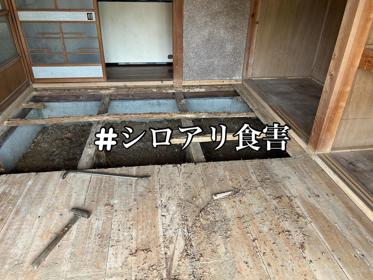 今回はシロアリ食害のお宅の