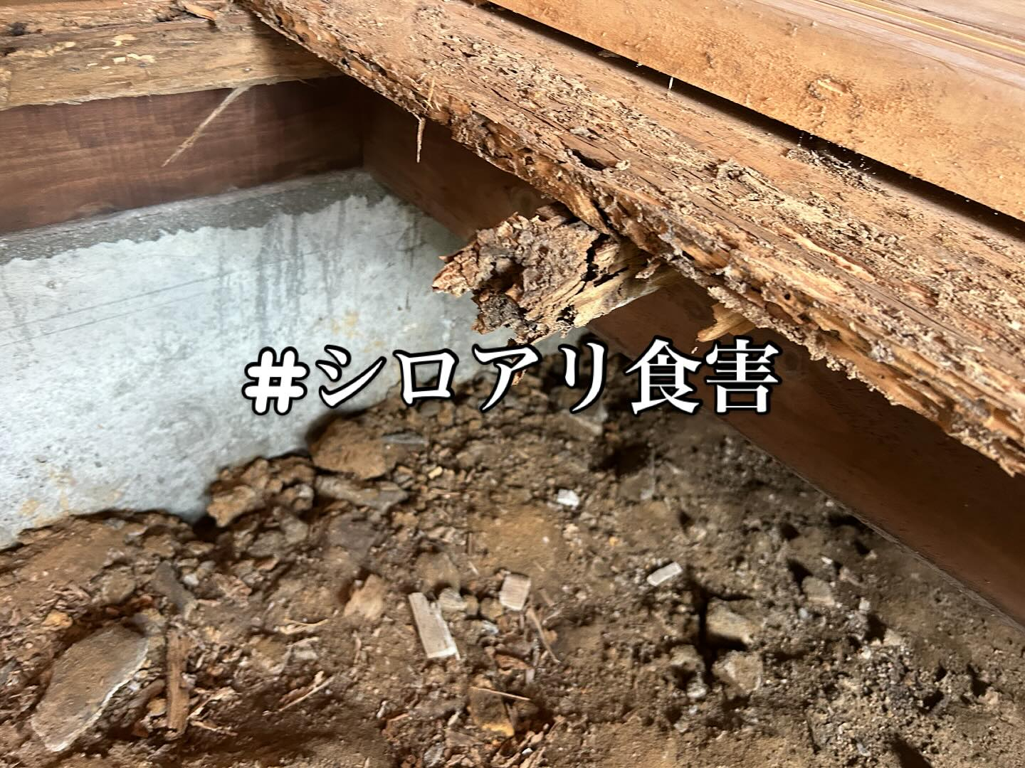 今回はシロアリ食害のお宅の