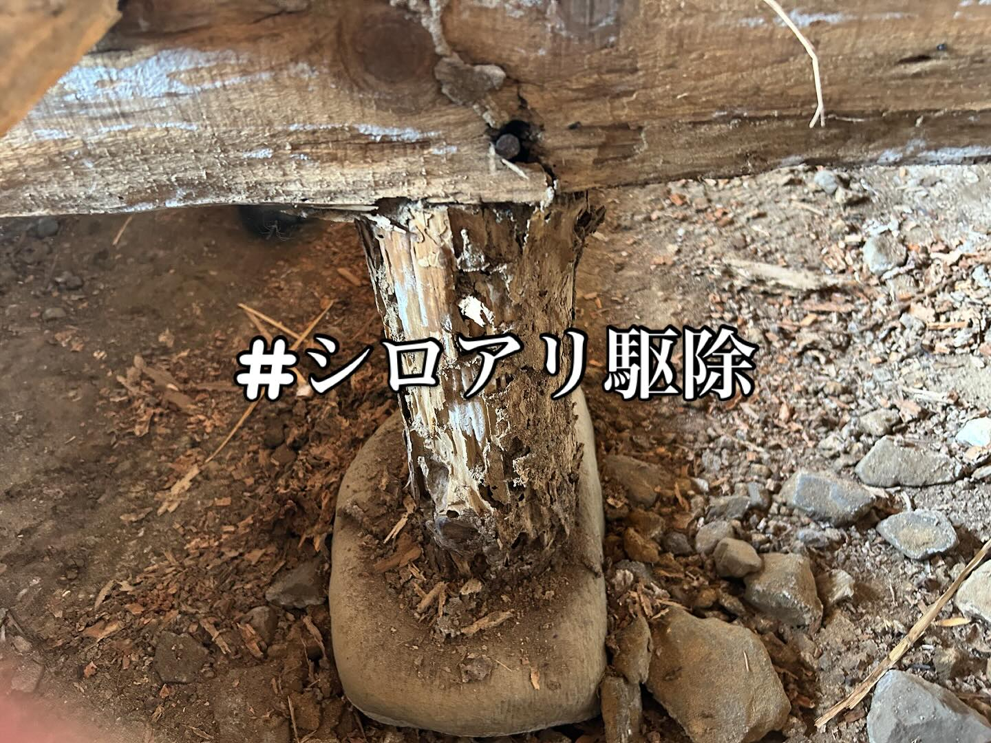 今回はシロアリ食害のお宅の